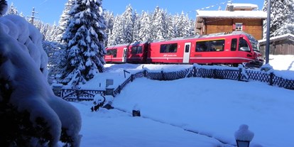 Hundehotel - WLAN - Graubünden - Das Chalet direkt am Wander- und Schlittelweg Arosa-Litzirüti und ist 7 Minuten vom Bahnhof Litzirüti entfernt. - Ferienwohnung "In da Brünst"