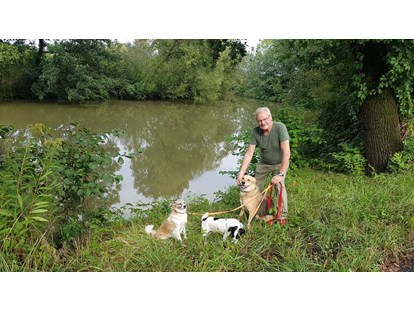 Hundehotel - Umgebungsschwerpunkt: Fluss - HundeWanderung und Bademöglichkeiten an der Raab - Landhaus FühlDichWohl- Boutique Hotel