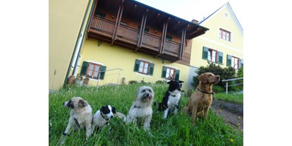 Hundehotel - Umgebungsschwerpunkt: Fluss - PLZ 8282 (Österreich) - ob groß-ob klein - bei uns darf jeder Brave Wuffi rein! - Landhaus FühlDichWohl- Boutique Hotel