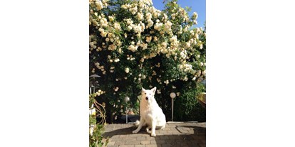 Hundehotel - Hund im Restaurant erlaubt - PLZ 8342 (Österreich) - unser wunderbar blühende Rosenbogen - Eintritt in unseren großen Naturgarten! - Landhaus FühlDichWohl- Boutique Hotel