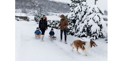 Hundehotel - Verpflegung: Vollpension - Spaziergang mit dem Hund - Hotel Mercure Doslonce Raclawice Conference & Spa 4*