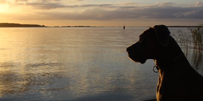 Hundehotel - Hund im Restaurant erlaubt - Düvier - Hauseigener Hundestrand - Halbinsel Peenemünde