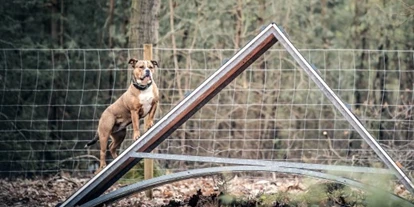 Hundehotel - Hundewiese: eingezäunt - Lüder - 2 eingezäunte Ausläufe - einmal zur Einzelnutzung, einmal zur gemeinsamen Nutzung - Bernsteinsee Hotel & Ferien