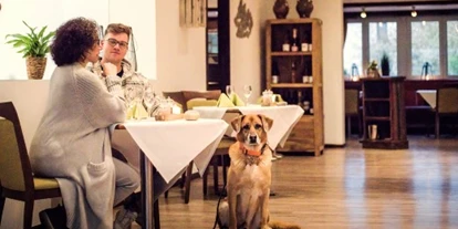 Hundehotel - Klassifizierung: 3 Sterne - Lüder - Hundefreundliche Gastronomie:  - Bernsteinsee Hotel & Ferien