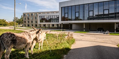 Hundehotel - Verpflegung: Frühstück - Schweiz - Aussenbereich - AFTERWORK Hotel