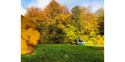 Hundehotel - in einer Ferienanlage/Wohnanlage - Deutschland - Waldpark Lukas und Cornelius
