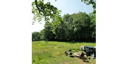 Hundehotel - in einer Ferienanlage/Wohnanlage - Deutschland - Waldpark Lukas und Cornelius