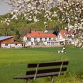Urlaub-mit-Hund - Blick vom Wanderweg über grüne Wiese zu Gästehaus Pension Heuler - Gästehaus Pension Heuler