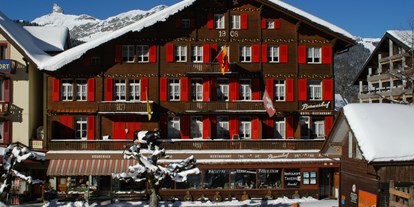 Hundehotel - Hundewiese: eingezäunt - Schweiz - Swiss Lodge Hotel Bernerhof