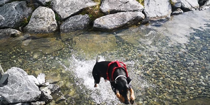 Hundehotel - Bademöglichkeit für Hunde - Schangnau - Swiss Lodge Hotel Bernerhof