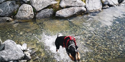 Hundehotel - Hundewiese: eingezäunt - PLZ 3995 (Schweiz) - Swiss Lodge Hotel Bernerhof