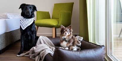 Hundehotel - Besorgung Hundefutter - Hunde - Schnitzer´s Dahoam