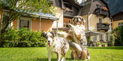 Hundehotel - Hund im Restaurant erlaubt - PLZ 5542 (Österreich) - 4000m² Hundewiese da ist für jeden Platz - GRUBERS Hotel Apartments Gastein