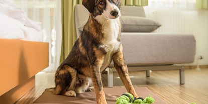 Hundehotel - Verpflegung: Frühstück - Hundebegrüßungspaket - GRUBERS Hotel Apartments Gastein
