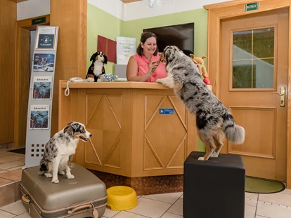 Hundehotel - Hundewiese: eingezäunt - Leogang - Eine ordentliche Begrüßung darf natürlich nicht Fehlen - GRUBERS Hotel Apartments Gastein