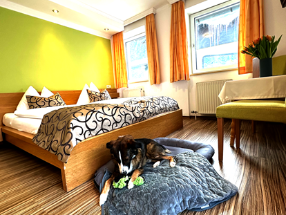 Hundehotel - Preisniveau: günstig - Hundsdorf (Rauris) - Hier fühl ich mich "Puddelwohl" - GRUBERS Hotel Apartments Gastein
