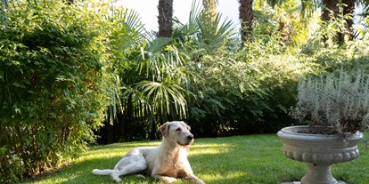 Hundehotel - Hundewiese: nicht eingezäunt - Meran und Umgebung - Pepita  - Villa Hochland