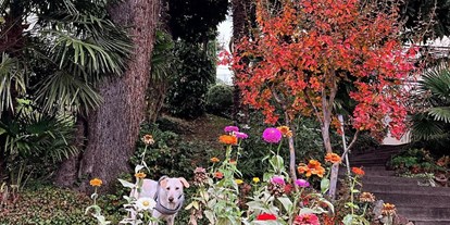 Hundehotel - Umgebungsschwerpunkt: Stadt - Villanders - Pepita Herbst Garten - Villa Hochland