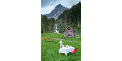 Hundehotel - Preisniveau: günstig - PLZ 3818 (Schweiz) - Digital Detox Hotel & Restaurant Simmenfälle 