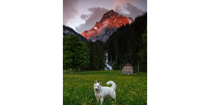 Hundehotel - Hundewiese: nicht eingezäunt - Schweiz - Digital Detox Hotel & Restaurant Simmenfälle 