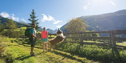 Hundehotel - Zustellbett - Trebesing - Eine Almwanderung mit Hund ist ein Riesenspaß - Almchalet Goldbergleiten | Romantische Berghütte - traumhafte Sonnenlage im Nationalpark Hohe Tauern