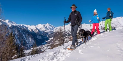 Hundehotel - Schwerpunkt: Familie - Hohe Tauern - Schneeschuh-Wandern mit dem Nationalpark-Ranger. Dein Hund darf mit ! - Almchalet Goldbergleiten | Romantische Berghütte - traumhafte Sonnenlage im Nationalpark Hohe Tauern