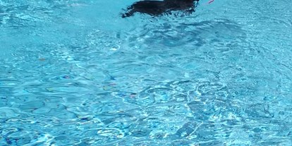Hundehotel - Pools: Außenpool beheizt - PLZ 94154 (Deutschland) - Seehotel Moldan