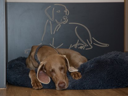 Hundehotel - ausschließlich für Hundeliebhaber - Bayern - Seehotel Moldan