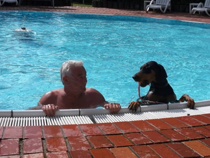 Hundehotel - Pools: Außenpool beheizt - Bayerbach (Landkreis Rottal-Inn) - Badevergnügen für alle - Seehotel Moldan