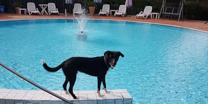 Hundehotel - Bademöglichkeit für Hunde - Bayern - Pool - Seehotel Moldan