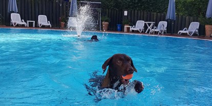 Hundehotel - Bademöglichkeit für Hunde - PLZ 94154 (Deutschland) - Badespaß für Mensch und Hund - Seehotel Moldan