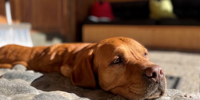 Hundehotel - Umgebungsschwerpunkt: Berg - Serfaus - Urlaub für Mensch und Hund. Wohlfühlen und erholen.  - Feierabends Ferienhaus 