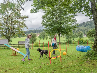 Hundehotel - Hundewiese: eingezäunt - Donnersbachwald - Agility Park für Hunde direkt am Hotelgelände, auch im Winter - Almfrieden Hotel & Romantikchalet