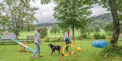 Hundehotel - Award-Gewinner - PLZ 8967 (Österreich) - Agility Park für Hunde direkt am Hotelgelände, auch im Winter - Almfrieden Hotel & Romantikchalet