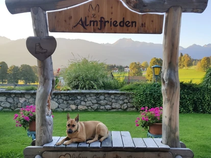 Hundehotel - Hundewiese: eingezäunt - Mariapfarr - Almfrieden Hotel & Romantikchalet