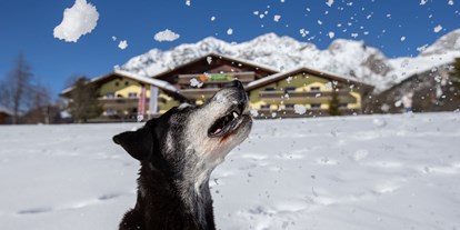 Hundehotel - WLAN - PLZ 8992 (Österreich) - Sapß im Schnee - auch für Ihren Vierbeiner! - Almfrieden Hotel & Romantikchalet