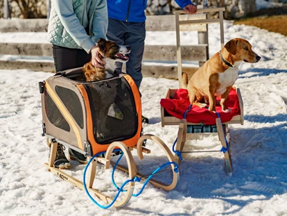 Hundehotel - ausschließlich für Hundeliebhaber - Flachau - Hundeschlitten - Verleih im Hotel - Almfrieden Hotel & Romantikchalet
