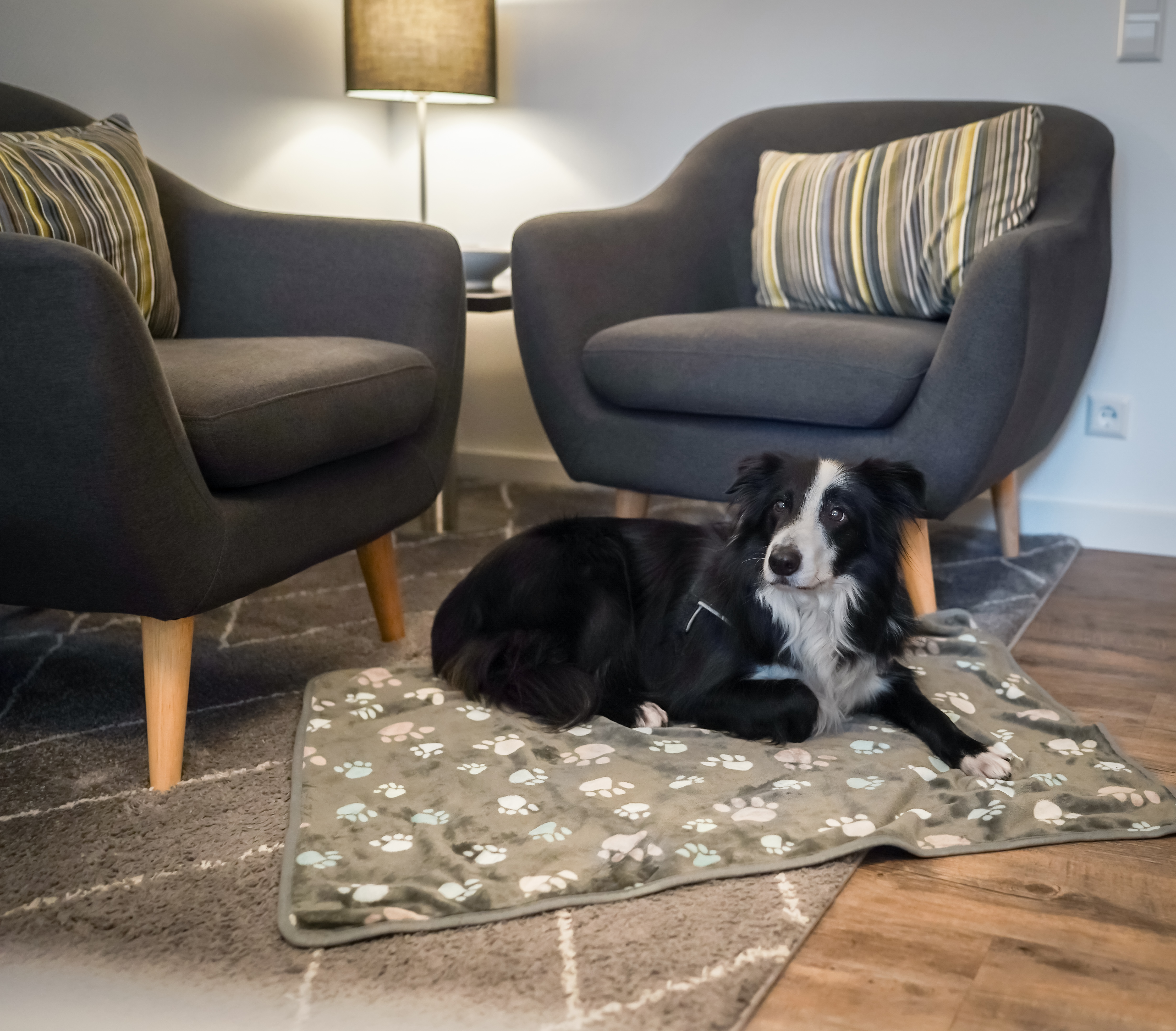 Urlaub-mit-Hund - Gandersheimer Boardinghouse