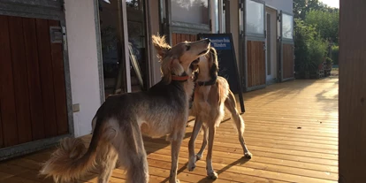 Hundehotel - Trink-/Fressnapf: an der Rezeption - Gräfelfing - Resorthotel Chalet Valley