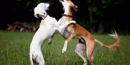 Hundehotel - Hundewiese: eingezäunt - Gräfelfing - Resorthotel Chalet Valley