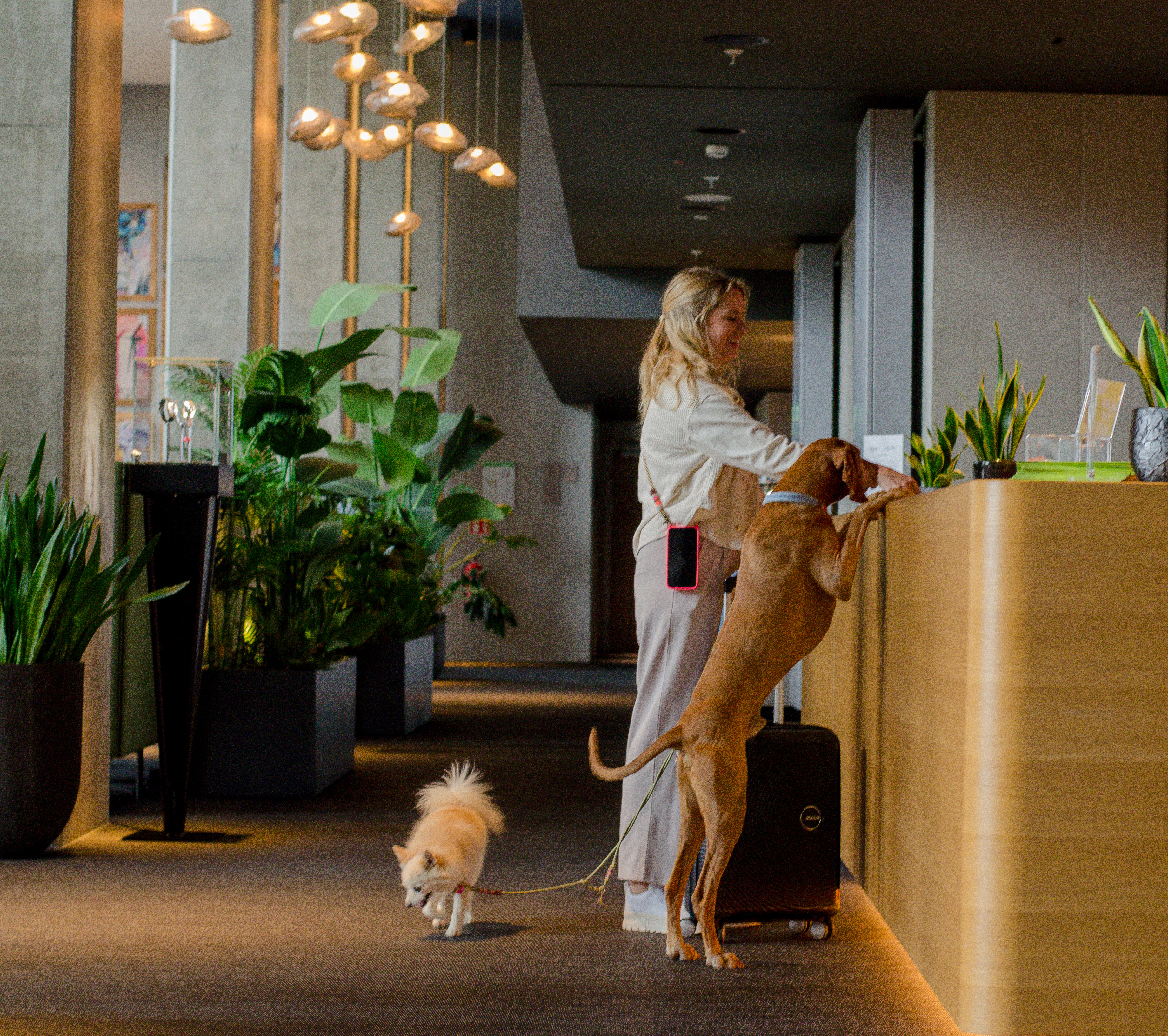 Urlaub-mit-Hund - b'mine Frankfurt Airport