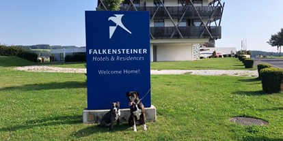 Hundehotel - Klassifizierung: 4 Sterne - Hunde lieben das Hotel - Falkensteiner Genuss & Wohlfühlhotel Mühlviertel