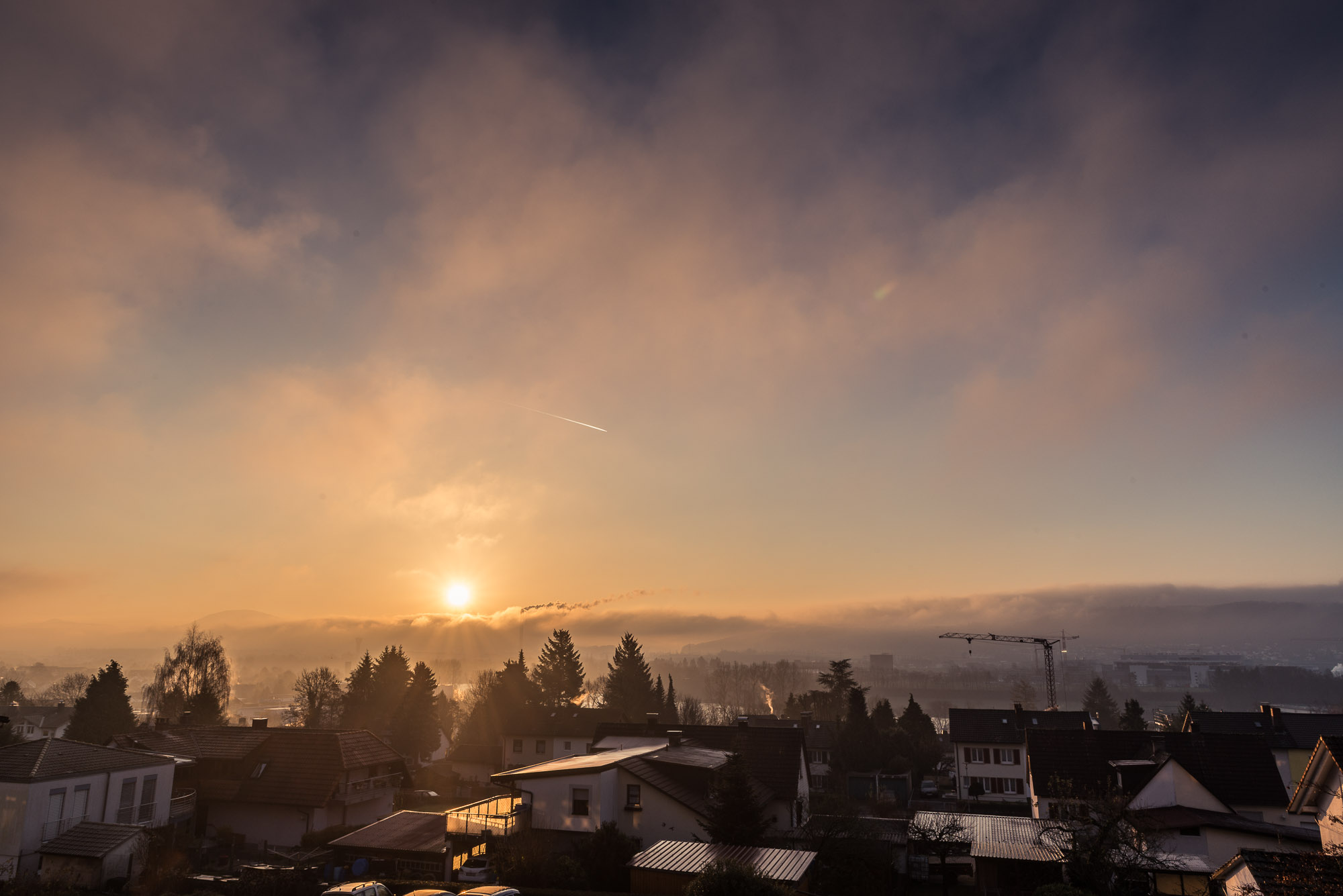 Urlaub-mit-Hund - Aussicht Zimmer mit Schweizerblick - Sapia Hotel St. Fridolin