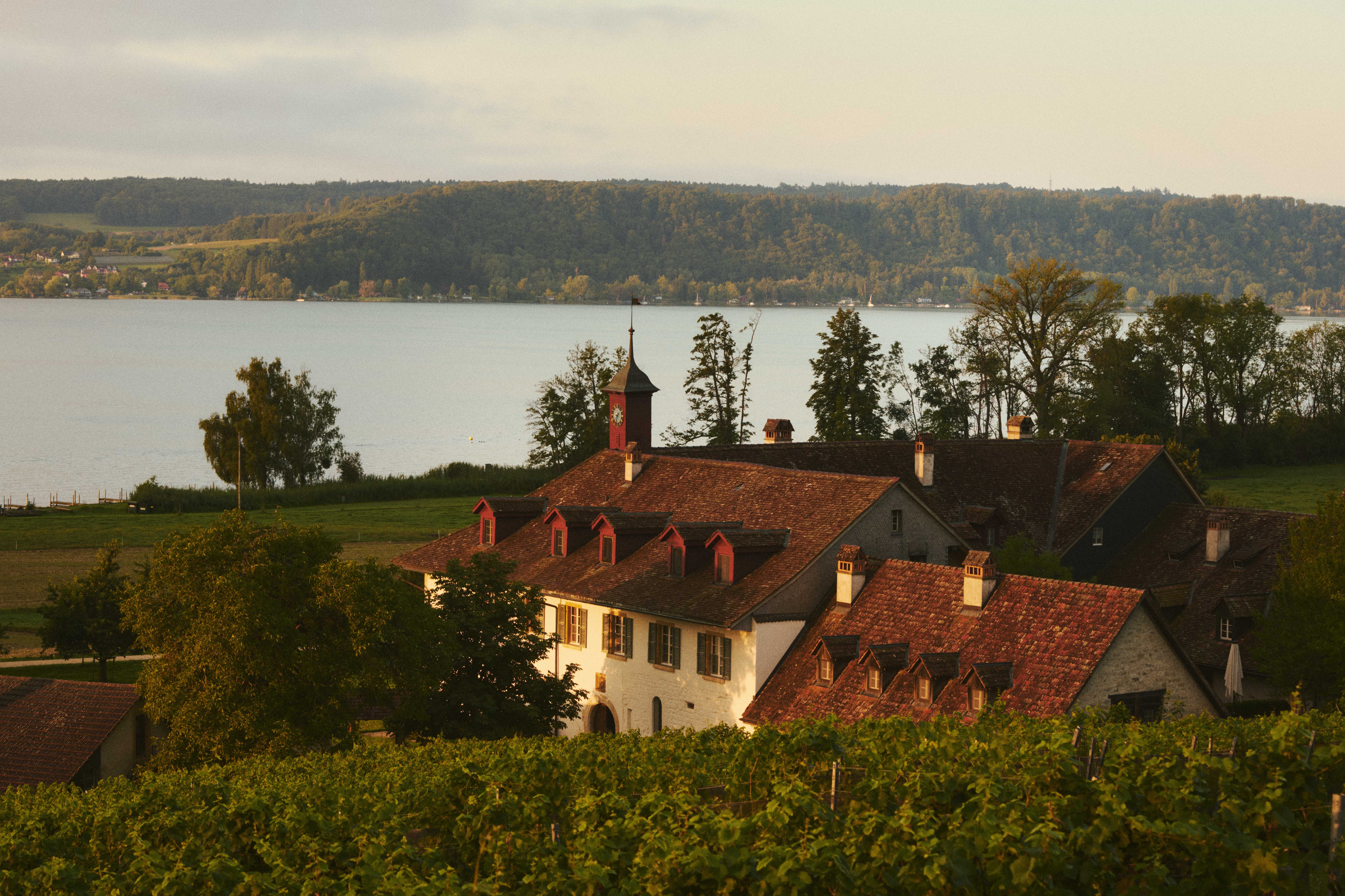 Urlaub-mit-Hund - Hotel St. Petersinsel