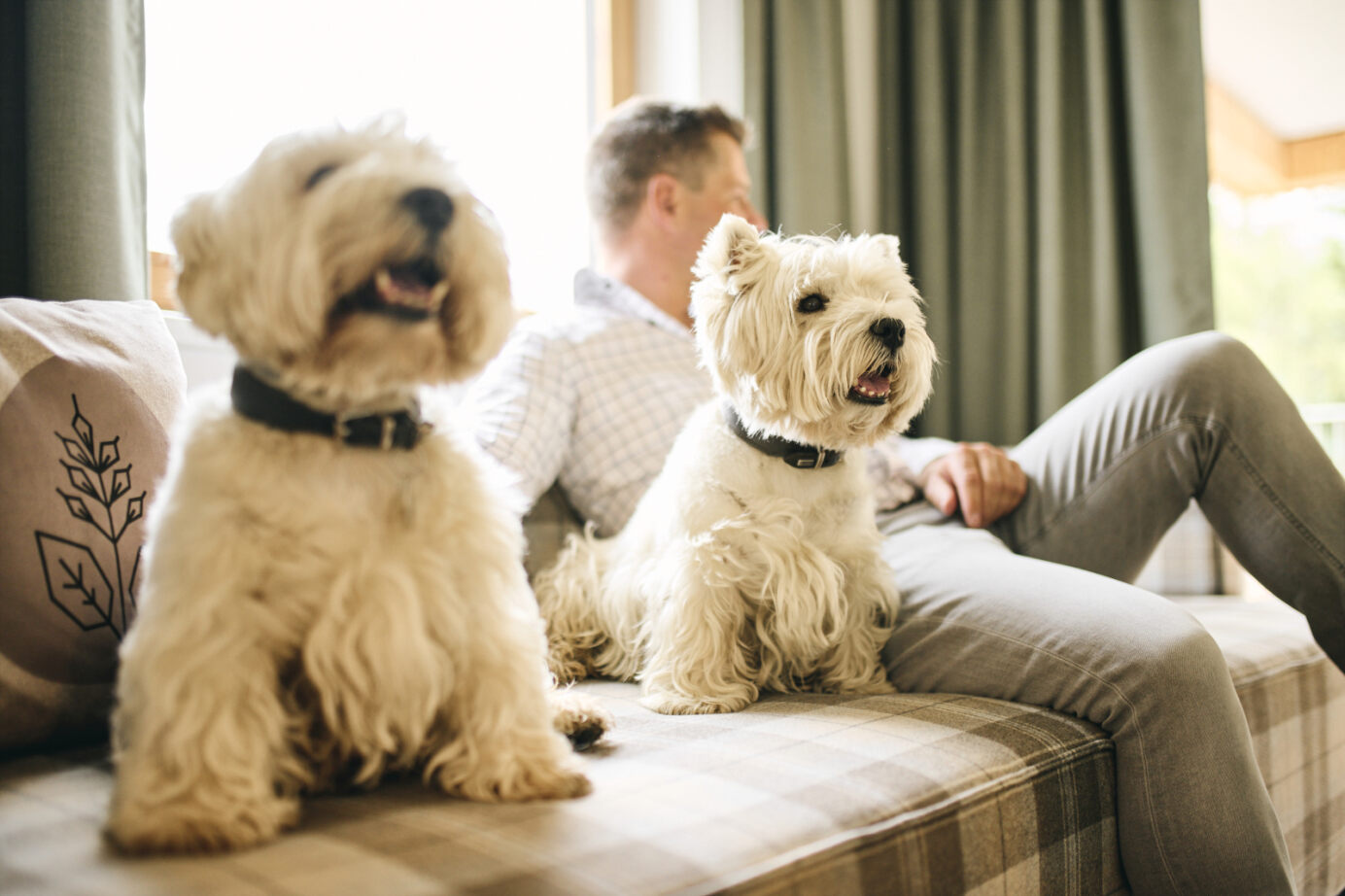 Hundehotel: Almresort Sonnenalpe