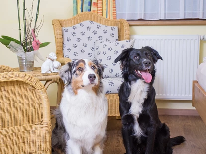 Hundehotel - Hundewiese: eingezäunt - Leogang - Zimmer - Hotel Grimming Dogs & Friends