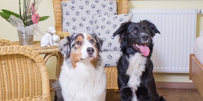 Hundehotel - WLAN - Rauris - Zimmer - Hotel Grimming Dogs & Friends