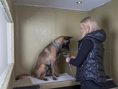 Hundehotel - keine Leinenpflicht im Hotel - Strub - Hundedusche - Hotel Grimming Dogs & Friends