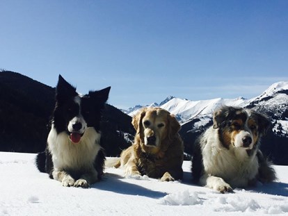 Hundehotel - ausschließlich für Hundeliebhaber - Bsuch - Winterkulisse in Rauris - Hotel Grimming Dogs & Friends