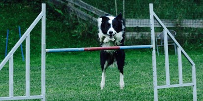 Hundehotel - Besorgung Hundefutter - Trainings am Freiplatz - Hotel Grimming Dogs & Friends